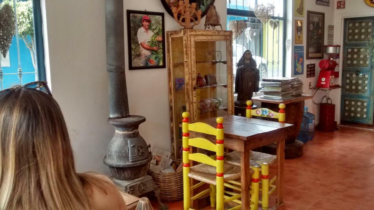 Hostal El Cascabel Cholula Dış mekan fotoğraf