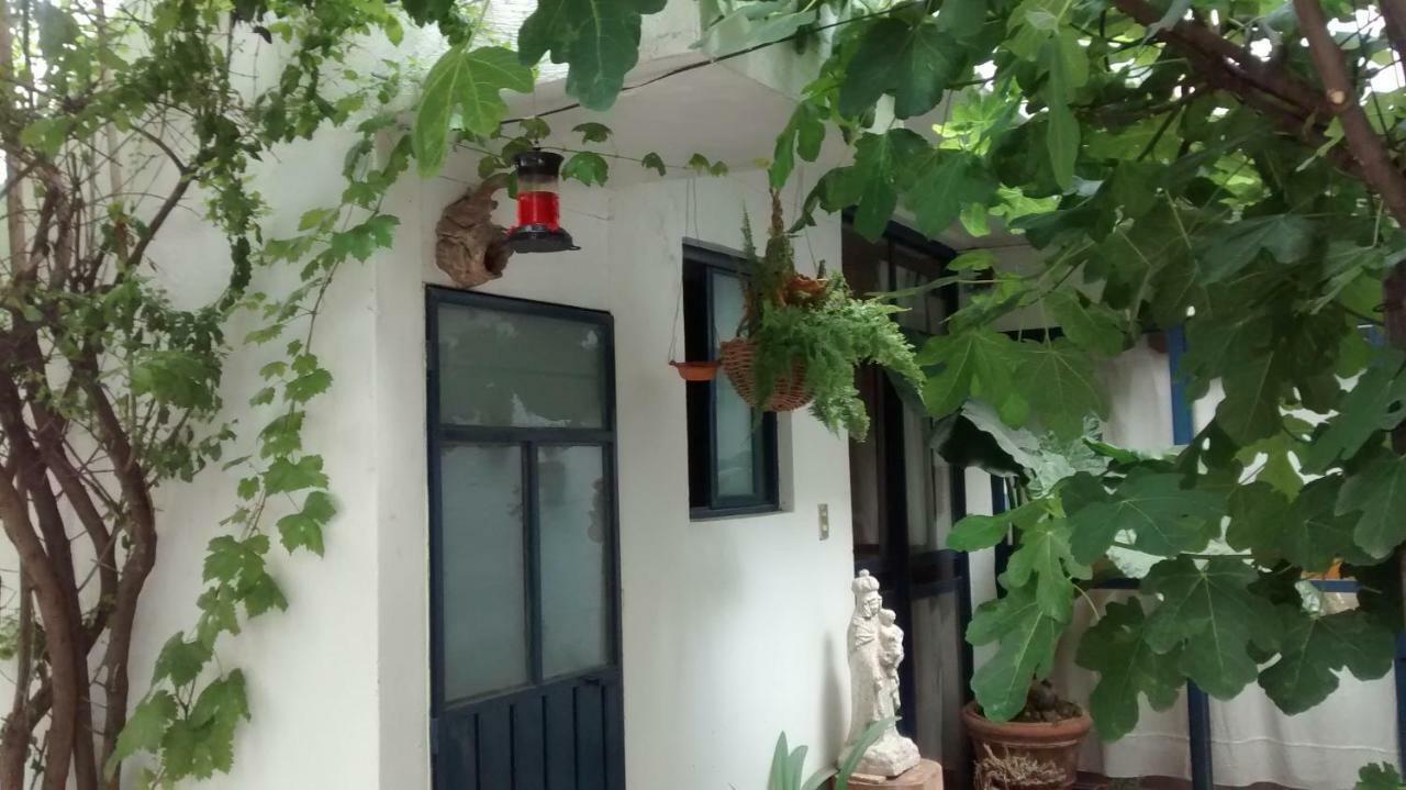 Hostal El Cascabel Cholula Dış mekan fotoğraf