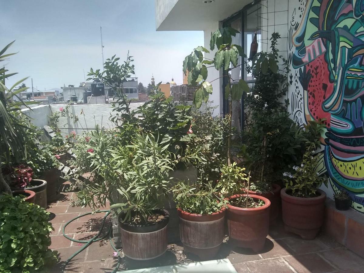 Hostal El Cascabel Cholula Dış mekan fotoğraf