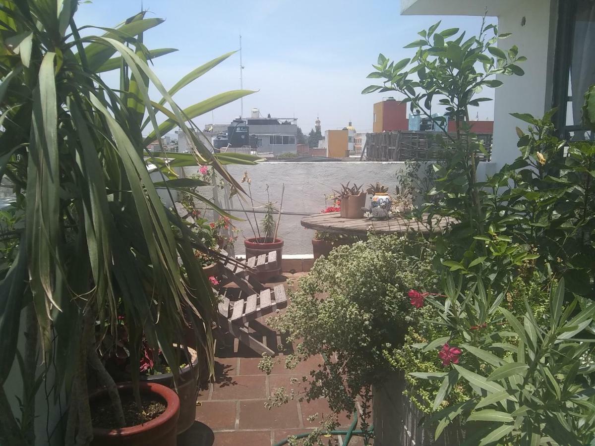 Hostal El Cascabel Cholula Dış mekan fotoğraf